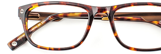 Firetrap 04 Firetrap 04
